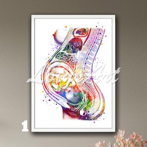 Pregnancy Wall Art Framed Watercolor Print Expect Baby Pregnant Fetus Medical Gynecology Obstetrician Clinic Midwife Gift Baby in the Womb