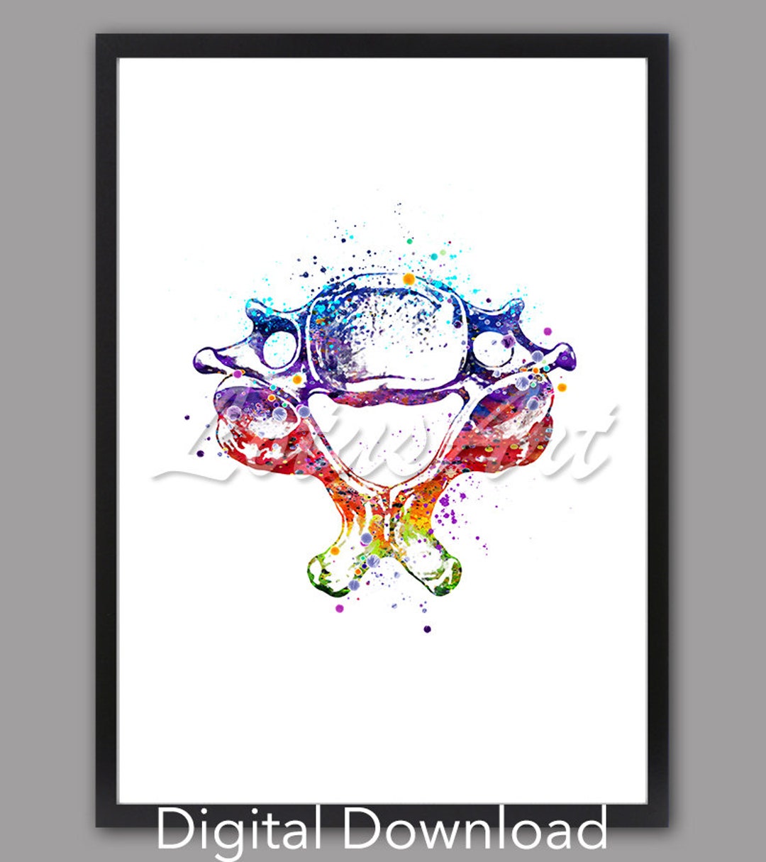 Cervical Vertebrae Watercolor Anatomy Art Print (digital Download) - Etsy