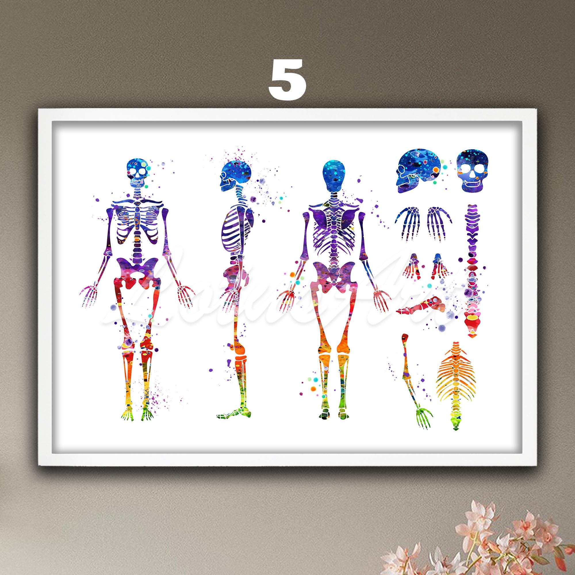 Watercolor Human Skeleton Anatomy Art Print: Doctor Office Decor - Etsy