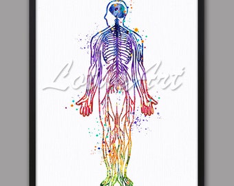 DIGITAL DOWNLOAD Heart Anatomy Art Watercolor Print Anatomical | Etsy