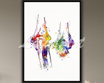 Elbow Joint Medical Anatomy Canvas Print: Sports Medicine Office Decor