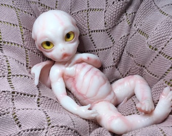 dragon reborn doll