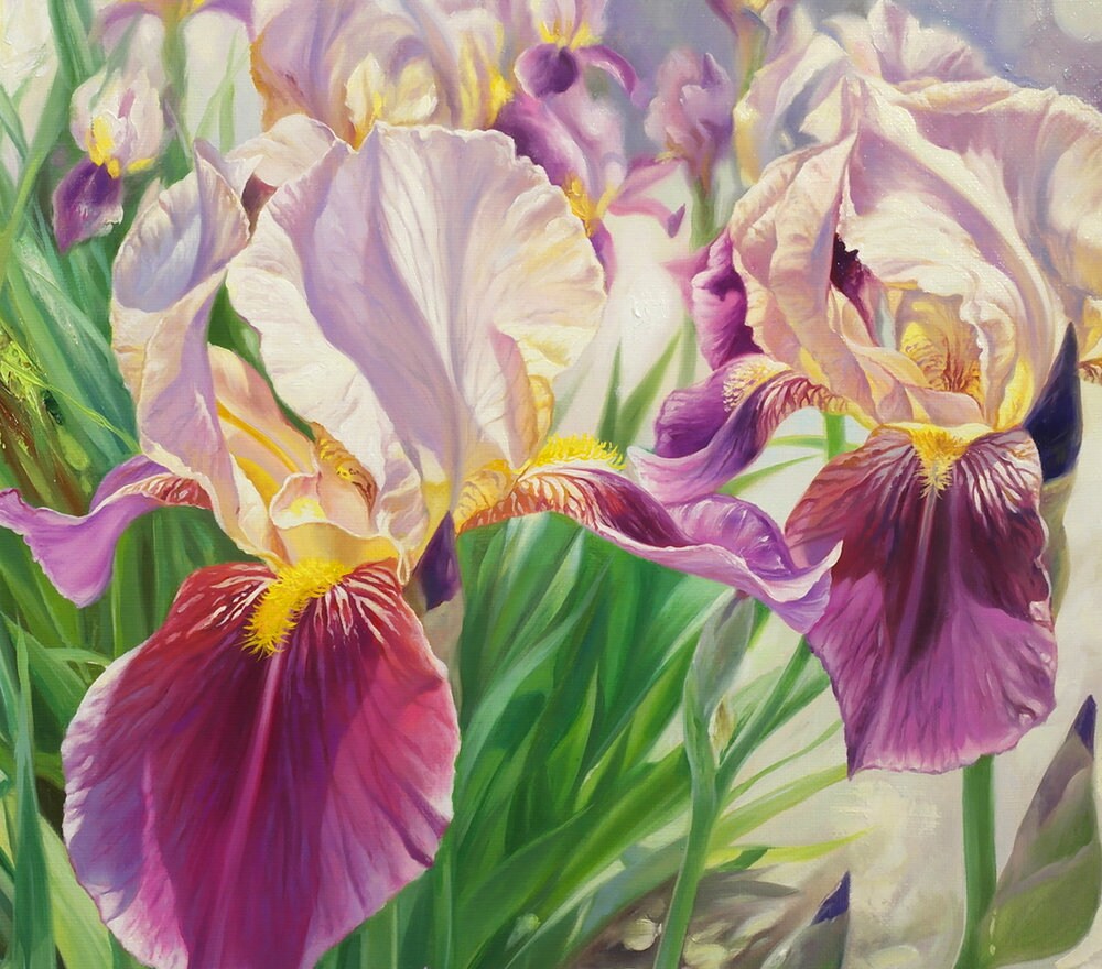 Irises oil paintingIrises paintingFloral paintingIrises | Etsy