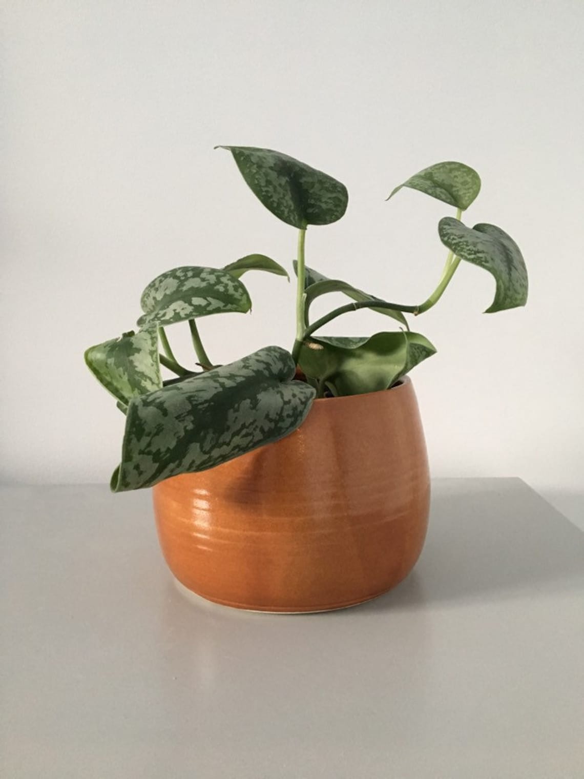 Retro Orange planter plant pot orange pot planter modern Etsy