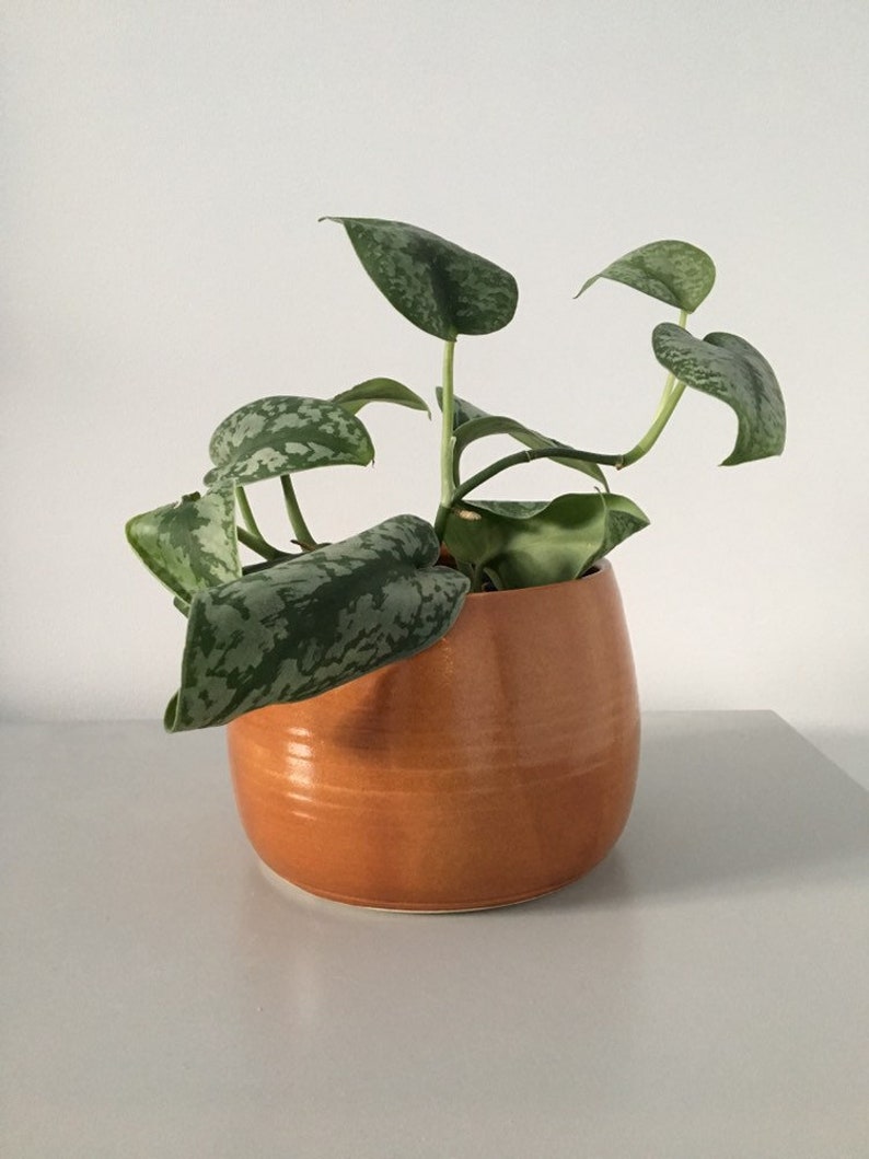 Retro Orange Planter Plant Pot Orange Pot Planter Modern Etsy UK