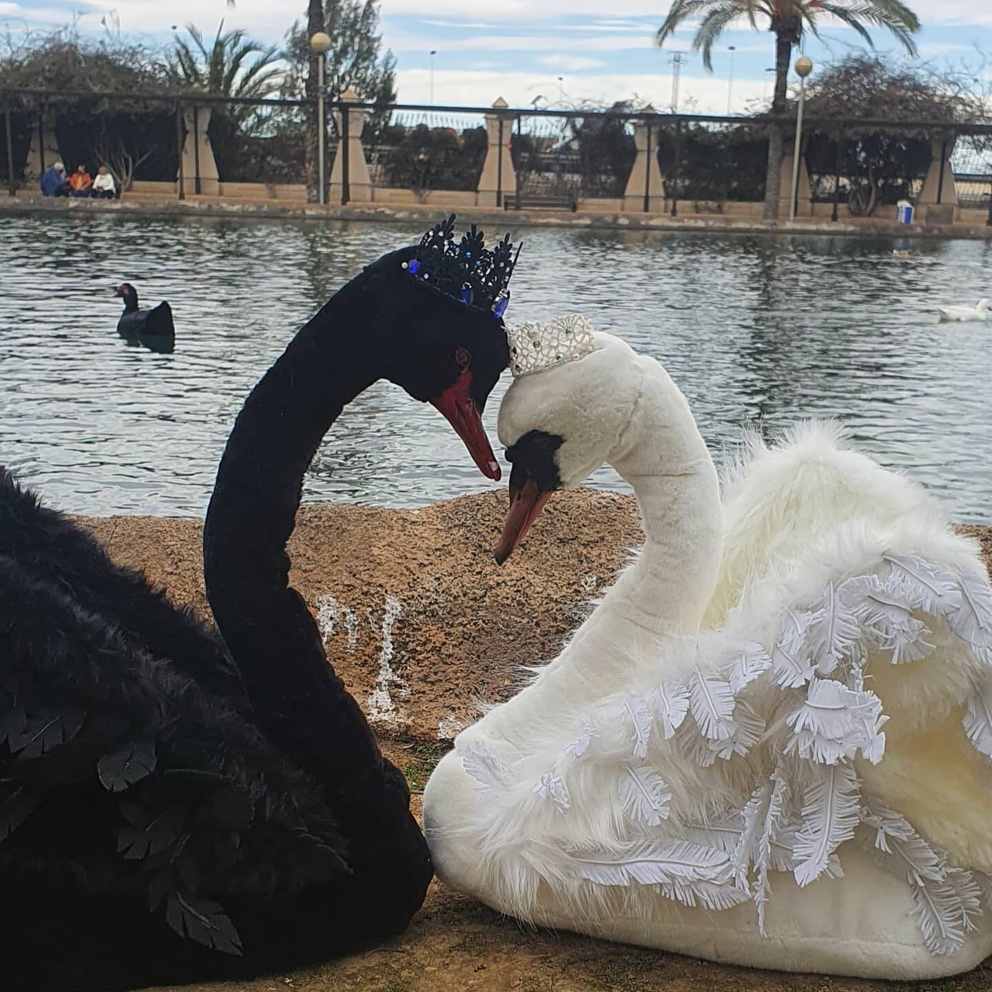 Swan Lake Ballet Black Swan White Swan Lpve Couple Wedding Etsy