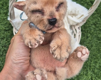 Slapende puppy miniatuur ooak beweegbare hond replica flexibel gevuld knuffelbeeldje