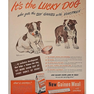 Gaines Meal Dog Food Vintage Print Ad 1940s  Retro Decor