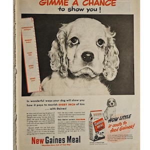 Anuncio impreso vintage de comida para perros Gaines Meal, decoración retro de los años 40