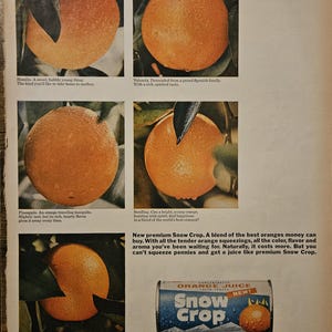 Anuncio impreso de jugo de naranja de Snow Crop, decoración retro