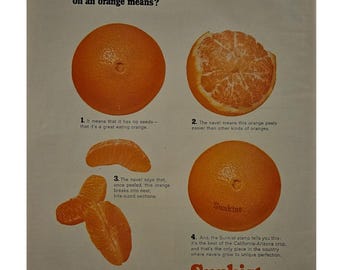 Sunkist Oranges Vintage Print Ad 1960s Retro Decor