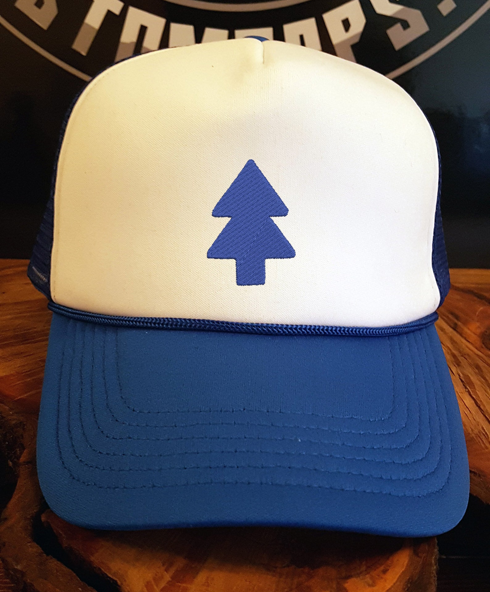 Dipper Pines Cap // Dipper Pines Hat // Gravit Falls // 2 Etsy