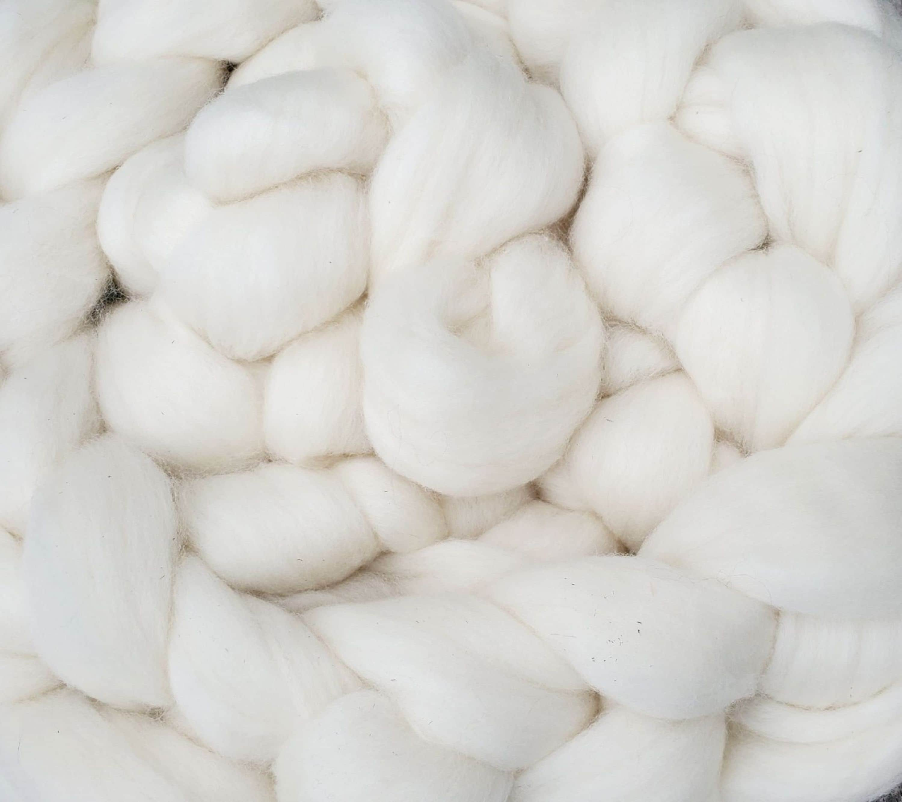 Cheviot White Wool Roving 8 oz AR00018BSF – Alba Ranch