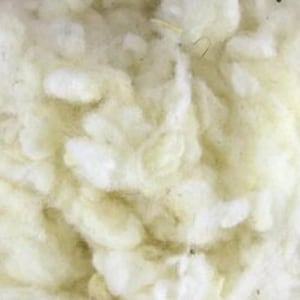 Bulk Wool Stuffing 