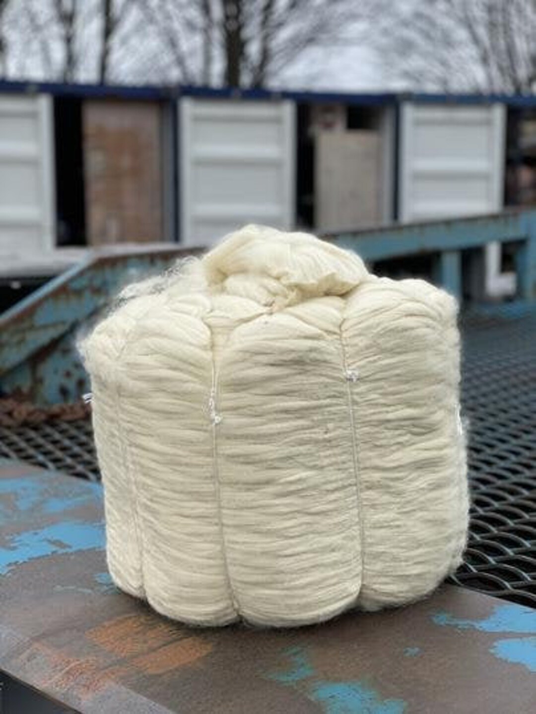 Sale CHEVIOT Top Wool Bump, Crueltyfree, White Wool Roving, Bulk, Wholesale Wool Etsy
