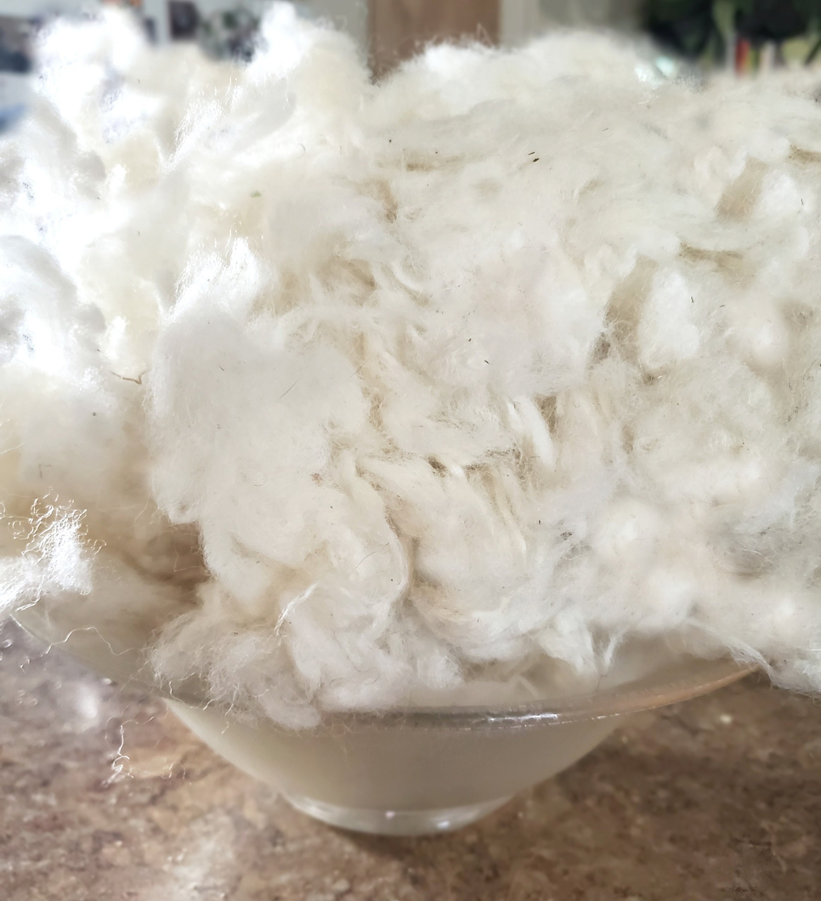 5 LB Lambswool Natural White Clean Fluffy Classic Fiber for Toy Stuffing &  Filling