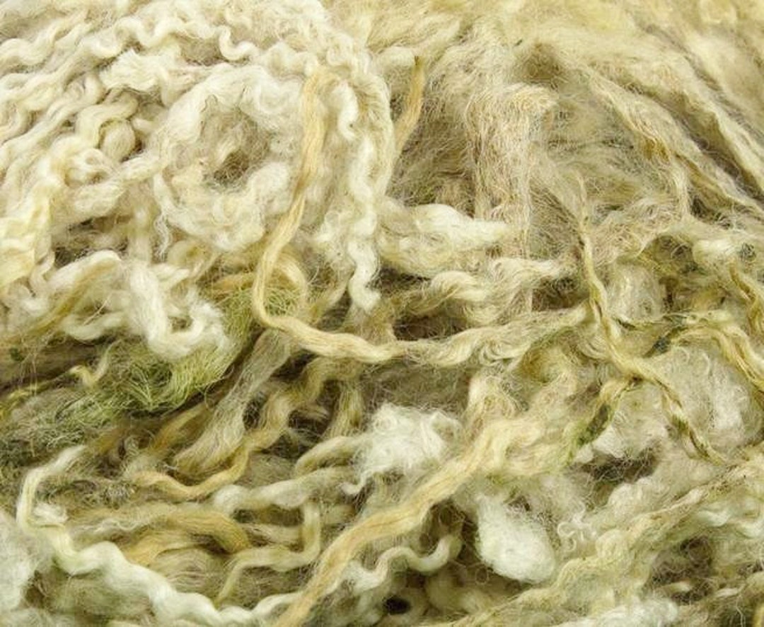 RAW BFL, Blue Faced Leicester, Greasy, Fleece, Wool, Bulk, Wholesale Etsy