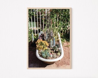 Cacti in a bathtub | Desert Art Photograph | High Quality Digital Image for Printing as Home Decor | Instant Download