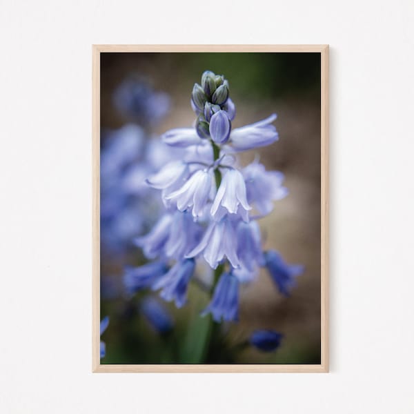 Dreamy Blue Flowers Photograph | High Quality Digital Image for Printing as Home Decor | Instant Download