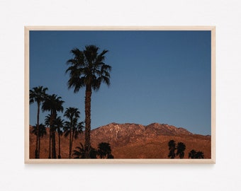 Fotografía de palmeras al anochecer en California / Fotografía de arte del desierto / Imagen digital de alta calidad para imprimir como decoración del hogar / Descarga instantánea