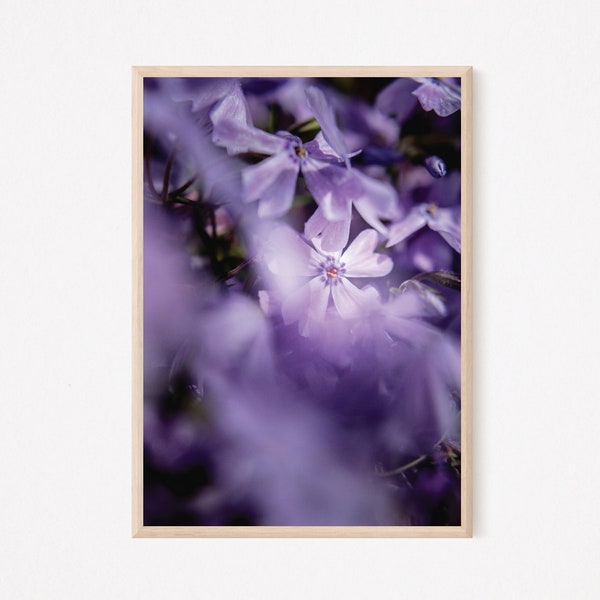 Dreamy Purple Flowers Photograph | High Quality Digital Image for Printing as Home Decor | Instant Download