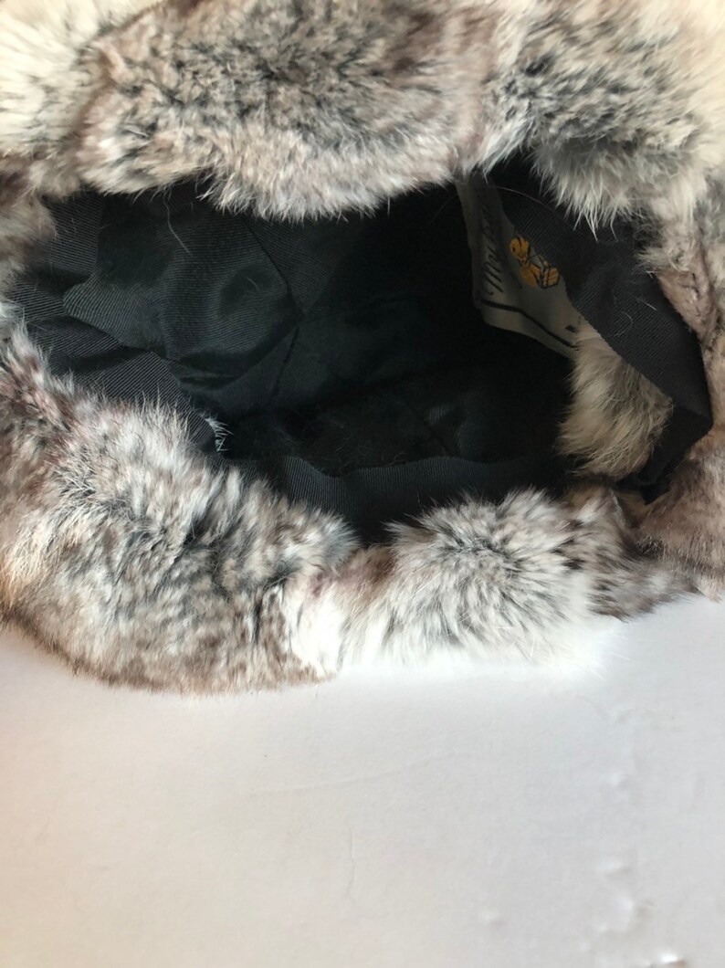 chinchilla harold