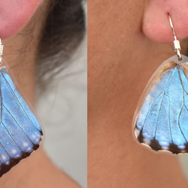 Morpho Thamyris - Real Butterfly Wing Laminated Earrings - Jewelry - Butterfly - Laminated - Nature