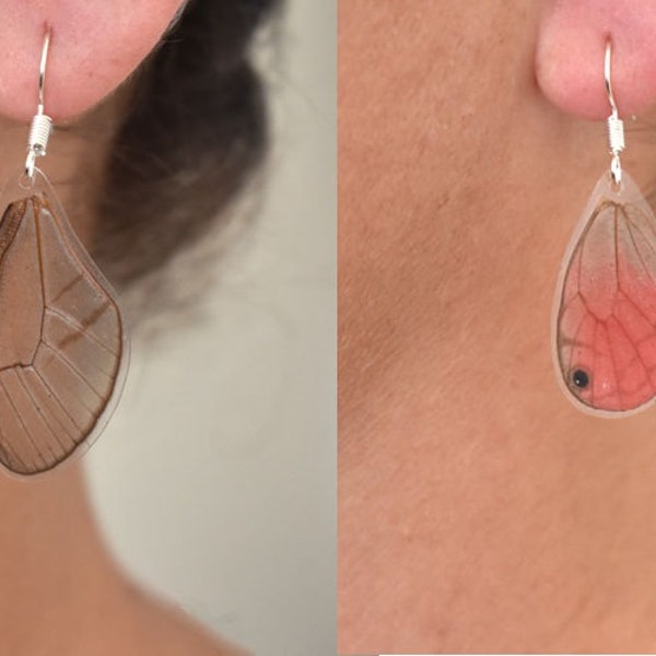 Satyridae Aurorina- Real Butterfly Wing Laminated Earrings - Jewelry - Butterfly - Laminated - Nature