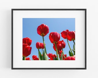 Tulip Print, Botanical Wall Decor