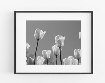 Black and White Tulip Print