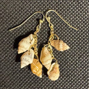 Shell Earrings