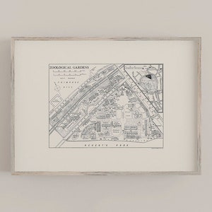 London Zoo Poster, Regent's Park Vintage Street Map Fine Art Print, Zoological Gardens, Cartography Home Decor Wall Art