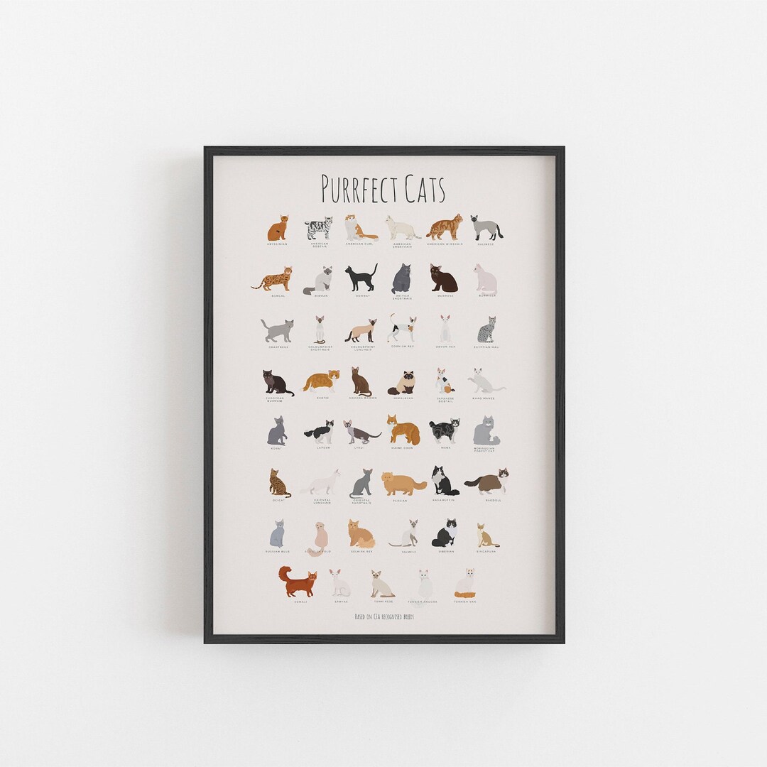 Purrfect Cat Breeds Print Gifts for Cat Lover Infographic Etsy