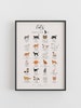 Cats in Film, TV and Books Print, Gifts For Cat Lover, Infographic Cat Breed Poster, Cat Wall Art Decor, Fine Art A1 A2 A3 Giclee Poster