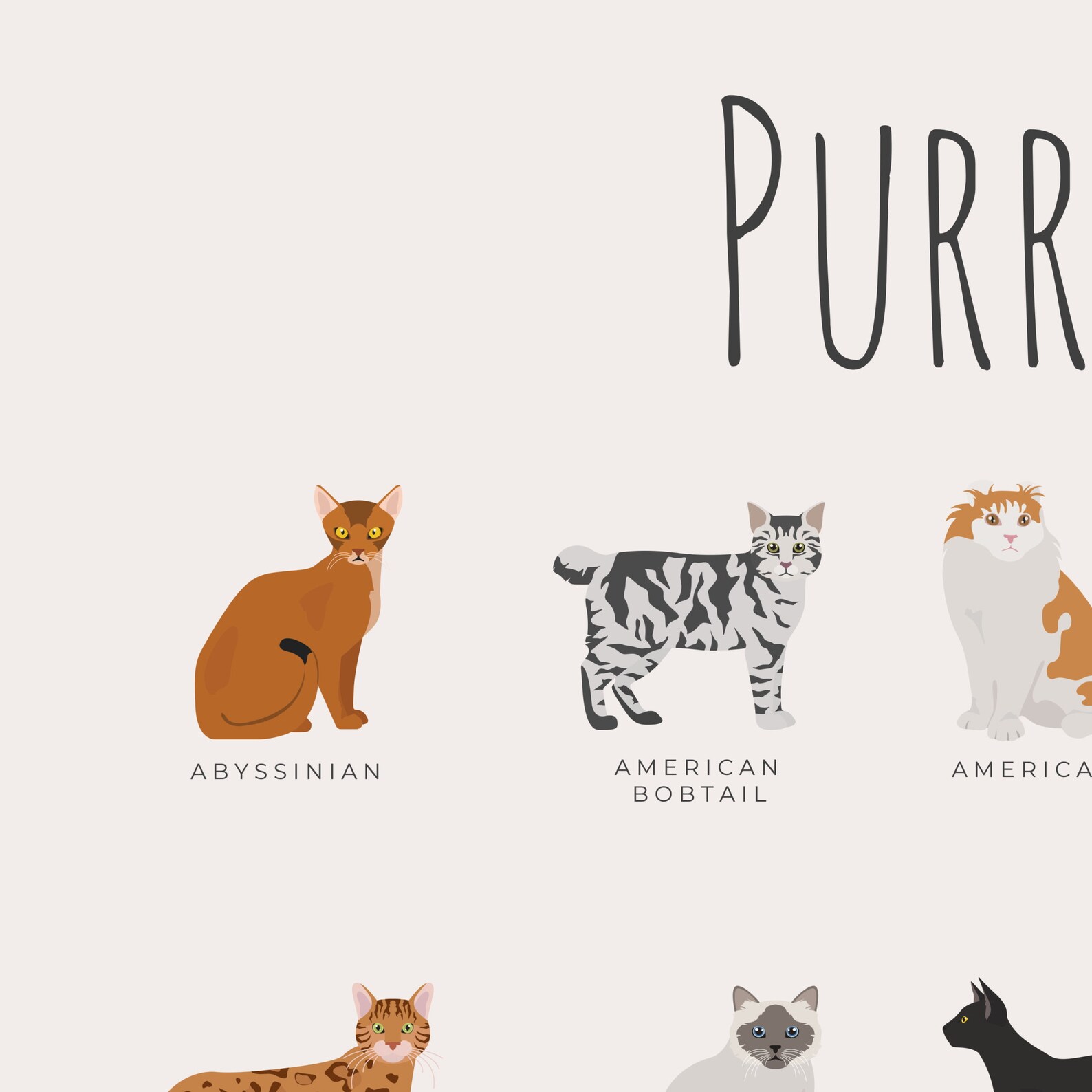 Purrfect Cat Breeds Print Gifts for Cat Lover Infographic Etsy