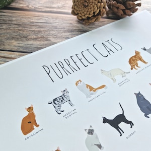 Impresión de razas de gatos Purrfect, regalos para amantes de los gatos, póster infográfico de razas de gatos, decoración de pared de gatos, póster giclée de bellas artes A1, A2 y A3