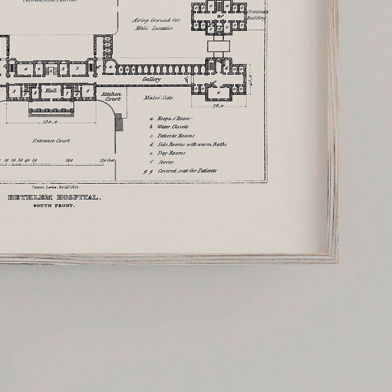 Bedlam Fine Art Print Oddity and Curiosity Decor Wall Art A4 Bethlem Royal Hospital Blueprint Poster Lunatic Asylum Floor Plans