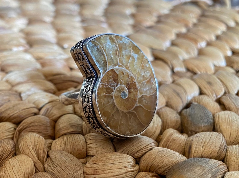 Ammonite Fossil Silver Statement Ring Handmade Size 8.5