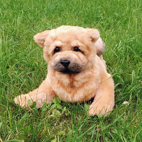 Dog Toys Chow Chow smooth Toy handmade dog Toy Collectible toys Realistic animals OOAK Animals and plush kawaii plush Realistic Stuffed dog