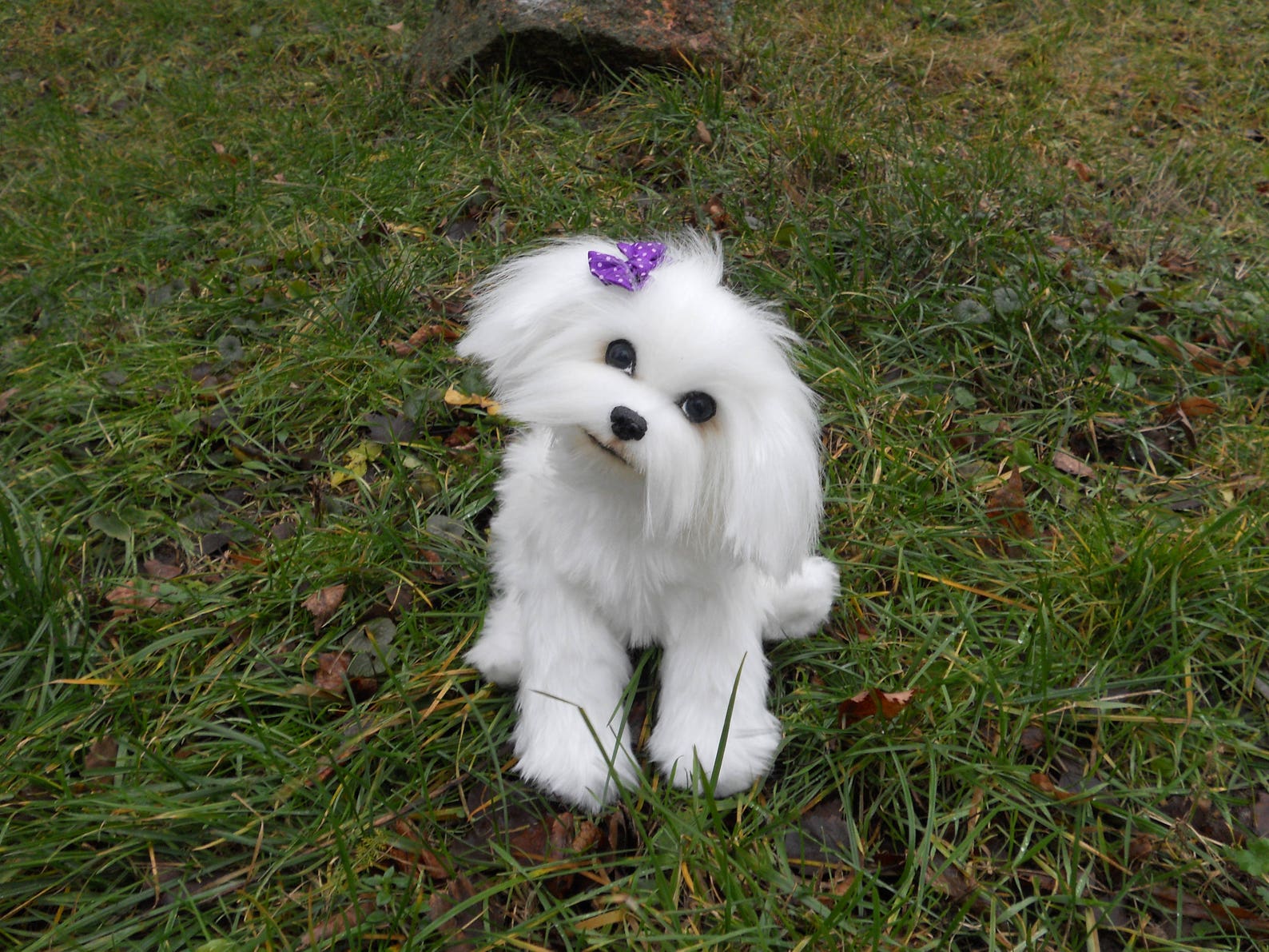 A doggy is the Maltese Stuffed. Toys handmade. Toys dog OOAK. Etsy