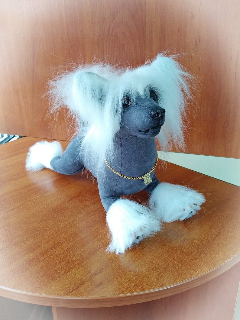 japanese teddy bear dog