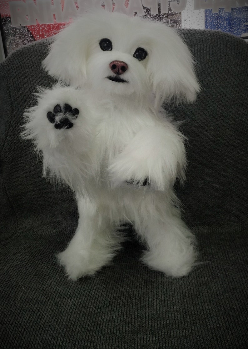 Dog Toys Maltese Lapdog Toy Toys Handmade Realistik Toy Etsy