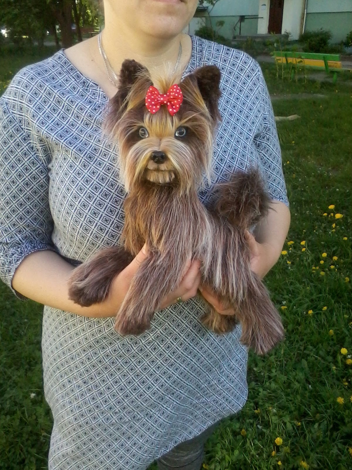 Dog Yorkshire Terrier breed. Toys handmade. Toys dog OOAK. Etsy