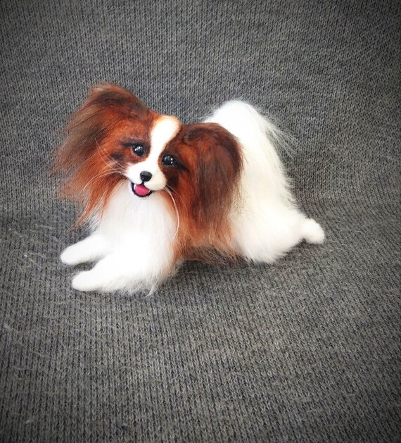 toy papillon