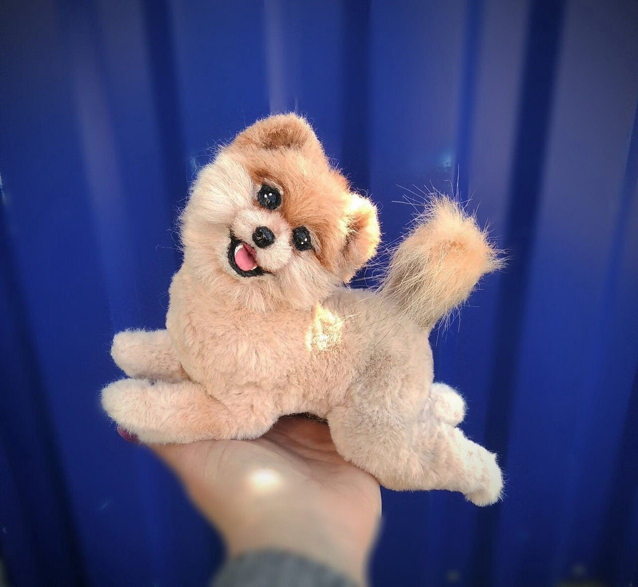 teddy bear black pomeranian