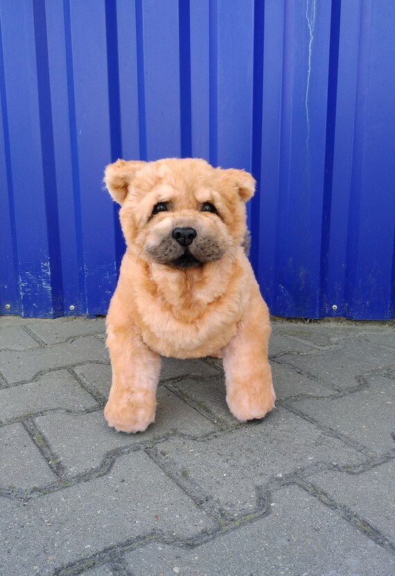 Dog Chow Chow Smooth Toy Handmade Dog Toy Collectible Toys Realistic Animals Ooak Animals And Plush Kawaii Plush Realistic Stuffed Dog