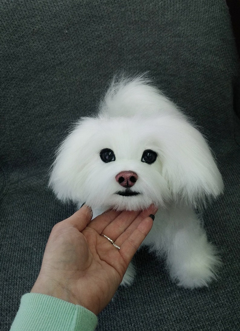 Dog Toys Maltese Lapdog Toy Toys Handmade Realistik Toy Etsy