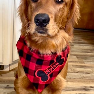 Personalized Embroidered Plaid Dog Bandana l Collar through the Bandana l Pet Bandana Name Appliqué l Puppy Bandana