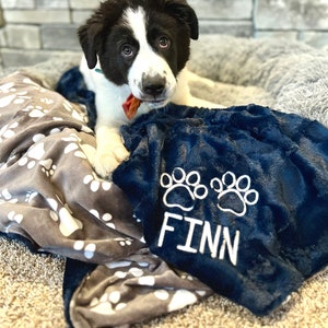 Grey puppy blanket sale
