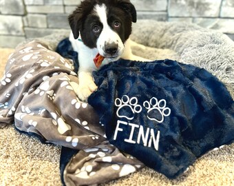 May include: A black and white puppy dog laying on a gray and white paw print blanket with a blue blanket with white paw prints and the name "Finn" embroidered on it.